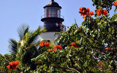 http-cdn.cnn.comcnnnextdamassets120314074300-key-west-lighthouse sober vacations international