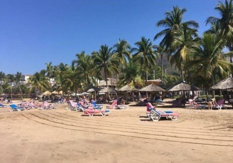 sober vacations international
